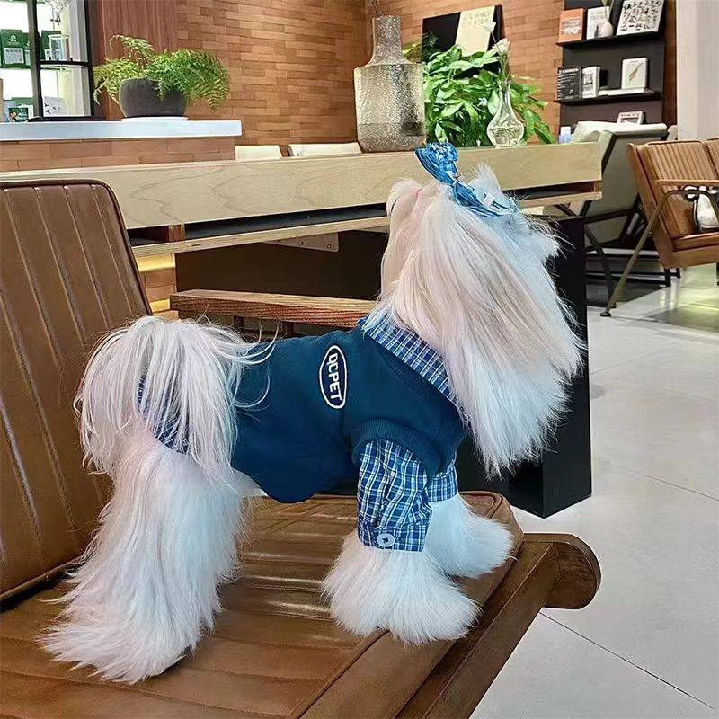 潮牌卫衣秋冬款小狗拼色可爱春秋天韩版超小宠物猫咪网红