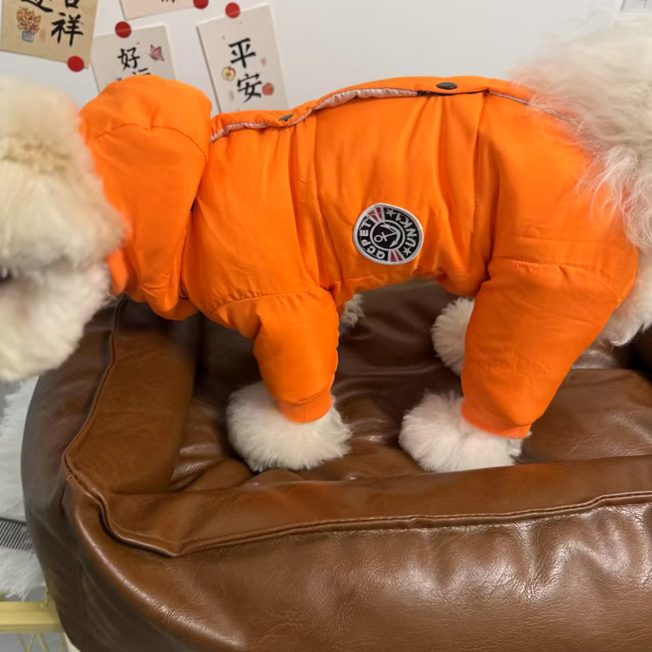 新款包肚四脚棉服狗狗冬装加厚保暖棉大衣泰迪比熊中小型宠物衣服