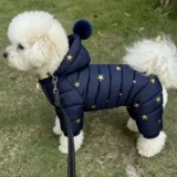 Демисезонный удерживающий тепло пуховик для выхода на улицу, осенний сезон, в западном стиле