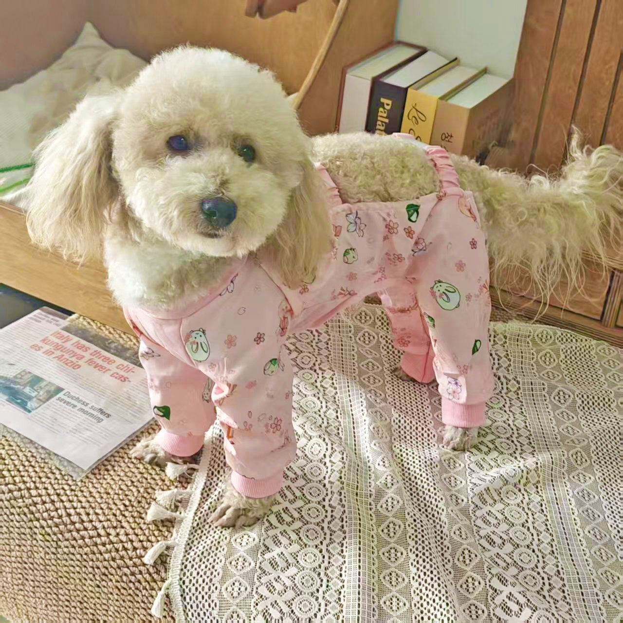 狗狗外出防脏防尿背带裤套中型小型犬泰迪连体裤脚套宠物四脚鞋套