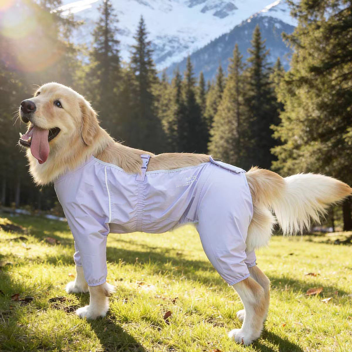 宠物衣服狗狗防脏腿裤户外防尘防尿防脏腿裤长毛大型犬巨贵