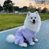 宠物衣服狗狗防脏腿裤 长毛大型犬巨贵 户外防尘防尿防脏腿裤