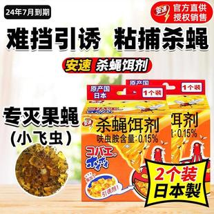 2盒安速杀蝇饵剂灭苍蝇药捕捉器神器贴一扫光果蝇诱捕器杀小飞虫