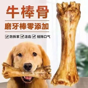 狗狗磨牙棒牛棒骨零食耐咬大中小型幼犬金毛泰迪拉布拉多训练奖励