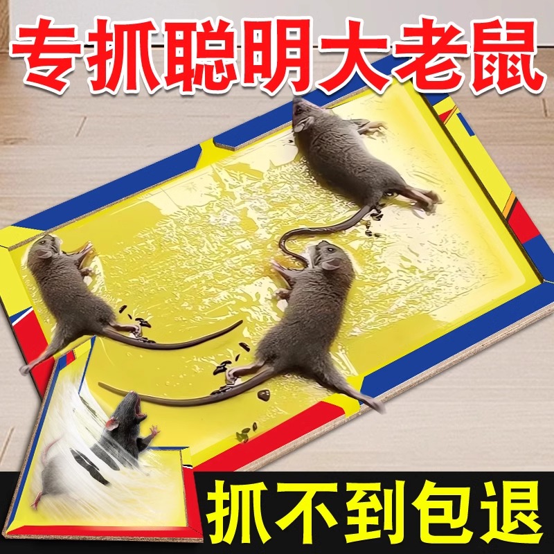 超强力粘鼠板捉粘大老鼠贴沾胶抓灭鼠老鼠贴超强杀鼠家用捕鼠神器