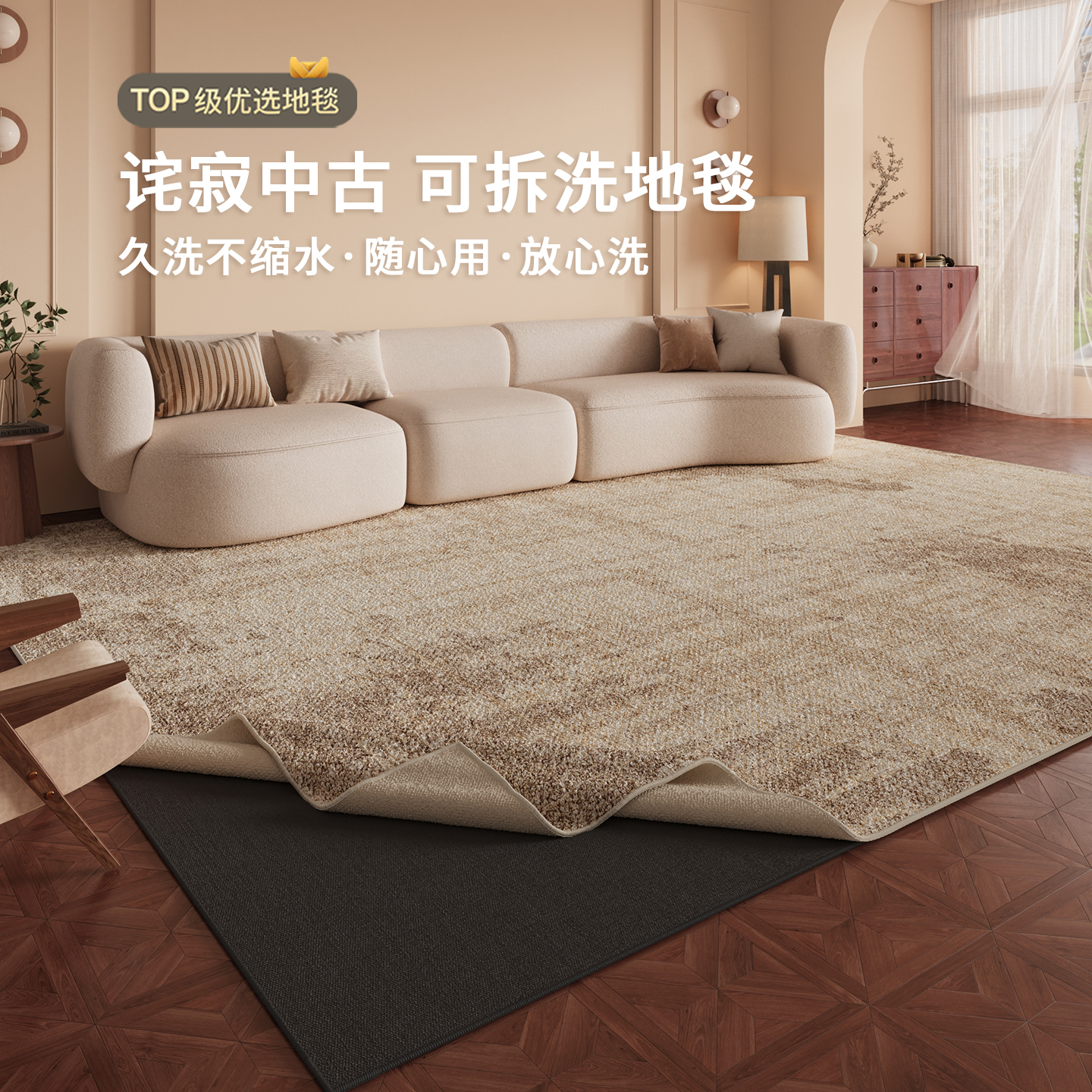 可拆洗客厅地毯轻奢百搭