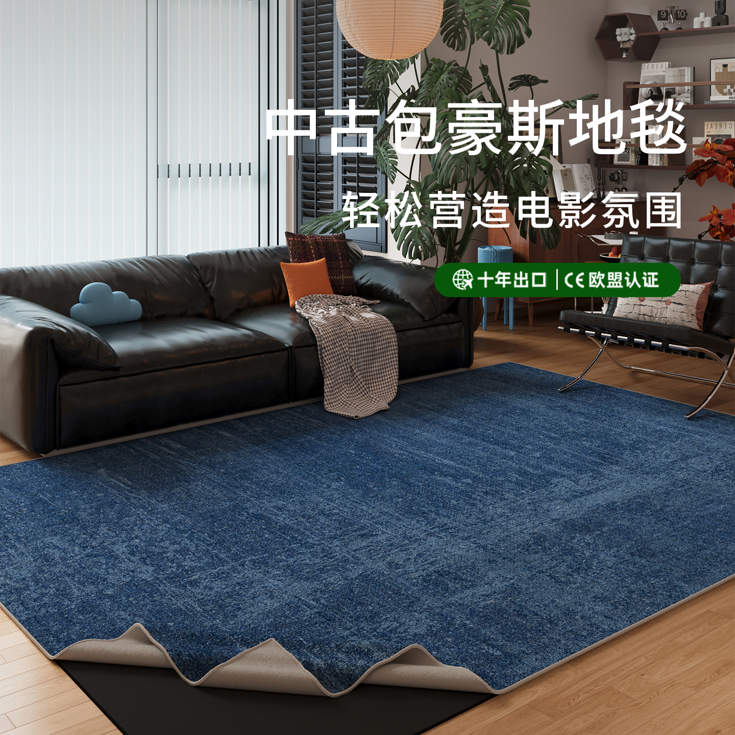 蓝色可拆洗客厅地毯久洗不缩水