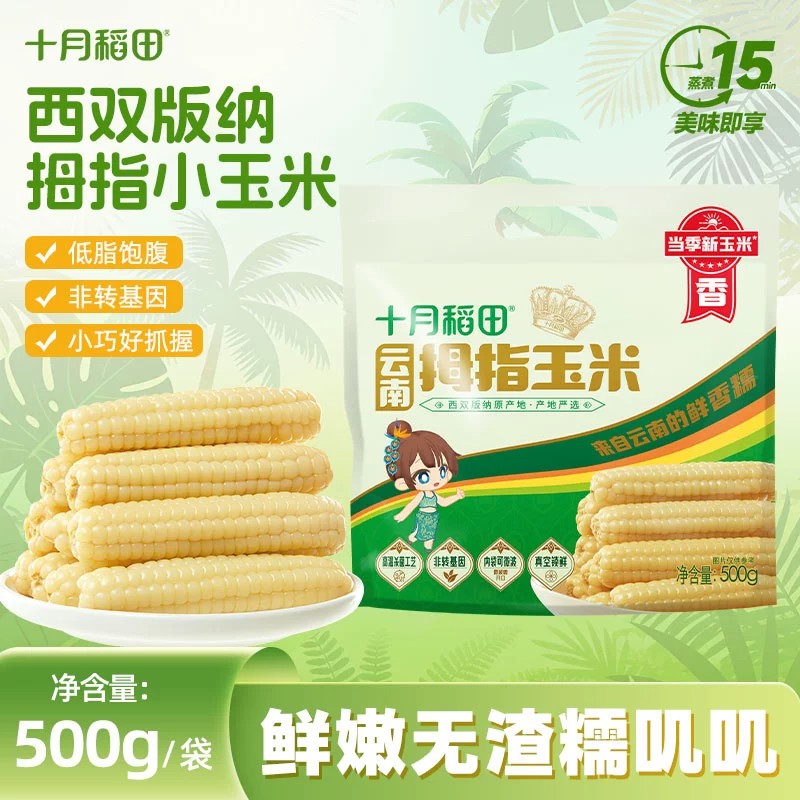 鲜嫩好吃!十月稻田云南拇指玉米