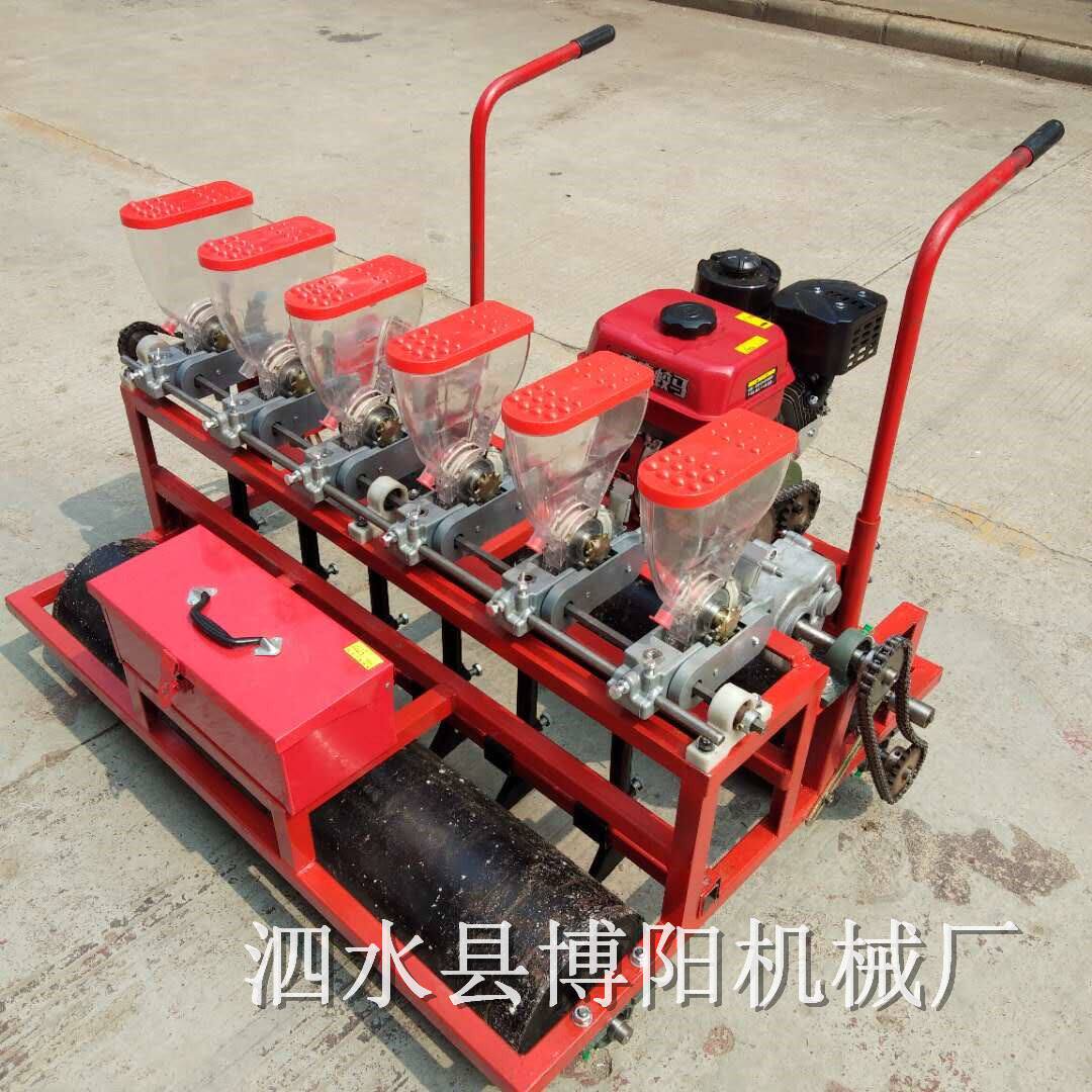 汽油自走式蔬菜播种机 自动下种六行胡萝卜播种机经济实惠