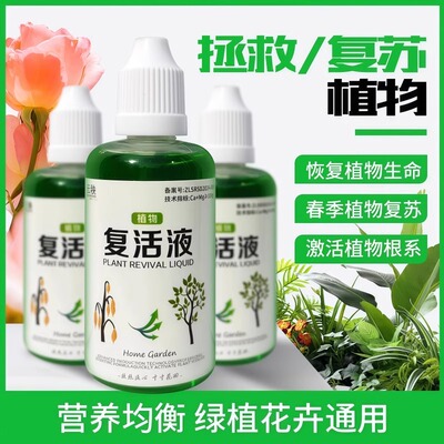 植物复活液花卉黄叶光杆发黄
