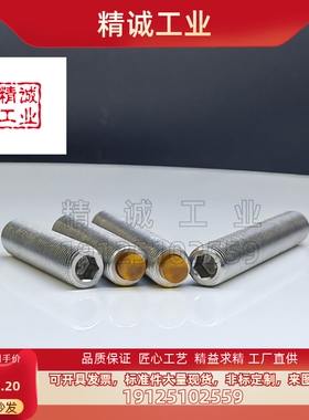 替代米思米型止动螺丝SSTSCC   STSCC   STSNCC型