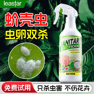 蚧壳虫杀虫剂多肉介壳虫药杀虫兰花疥虫花卉植物驱虫药非特效专用