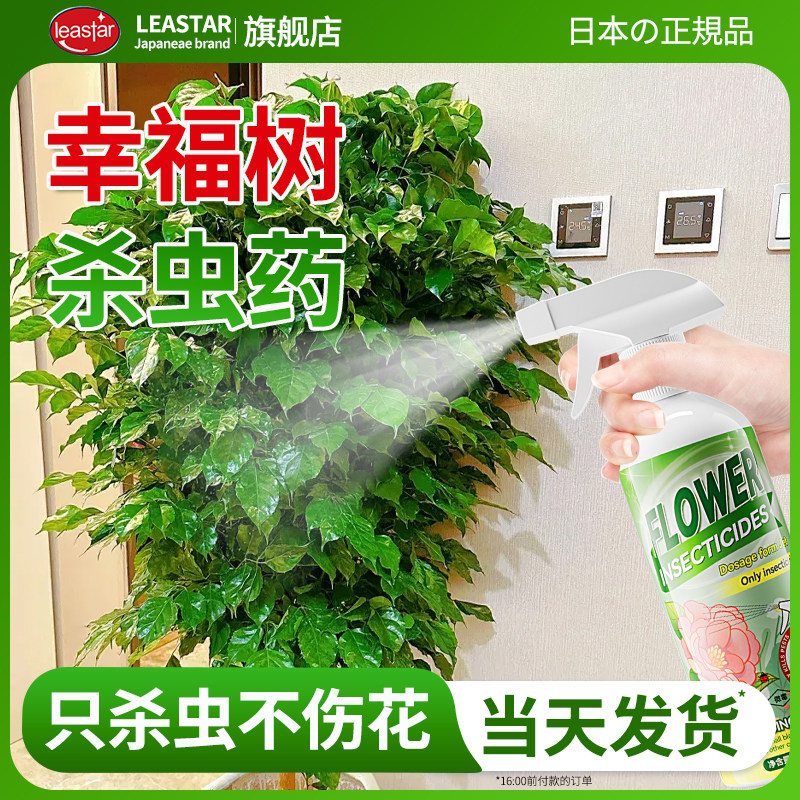 幸福树杀虫药介壳虫蚧壳虫蚜虫绿宝树专用杀虫剂花卉植物除虫白点