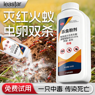 蚂蚁药红火蚁非全窝一窝端非无毒室内户外农用菜地专用家用灭蚁粉