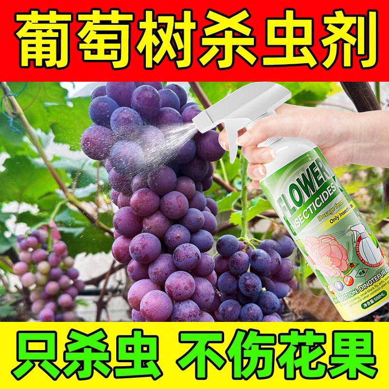 葡萄树杀虫剂专用药防治蚜虫蚧壳虫蜘蛛蓟马天蛾金龟甲专用水乳剂