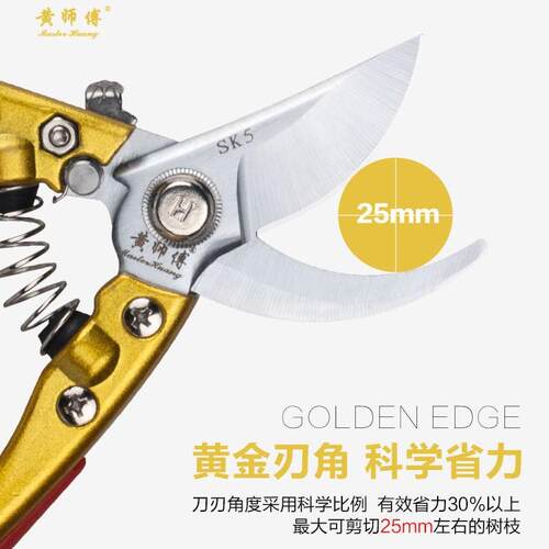 省力枝剪枝 修剪果树剪剪树枝B3剪果花艺剪刀sk5钢整枝园修艺园林