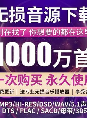 2025年无损车载u盘歌曲音乐下载包高品质抖音MP3dj/mp4/flac/wav