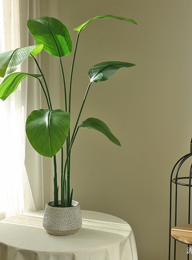 仿真绿植胶布旅人蕉现代简约热带植物天堂鸟室内家居摆件陈设绿植