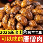 顺丰 山东大金蝉新鲜冷冻蝉知了猴鲜货杜仲金蝉速冻活体爬叉