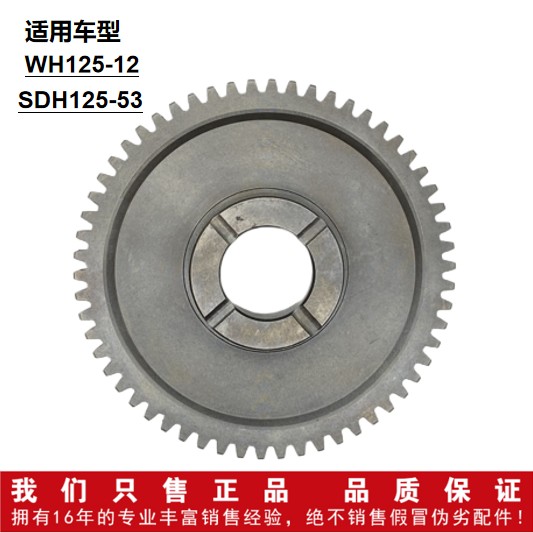 适用WH125-12新大洲SDH125-53