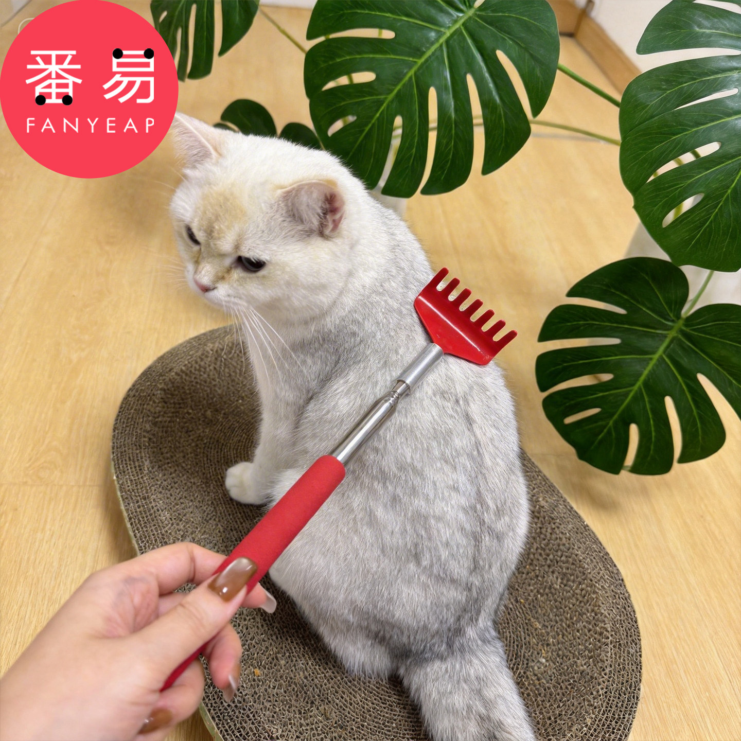 逗猫棒/可伸缩A1pn008-长杆可伸缩痒痒挠互动挠痒逗猫棒猫咪用品图片
