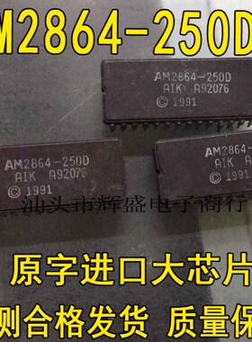 全新AM2864B-30DC/25DC 现货库存 现货库存，质量保证