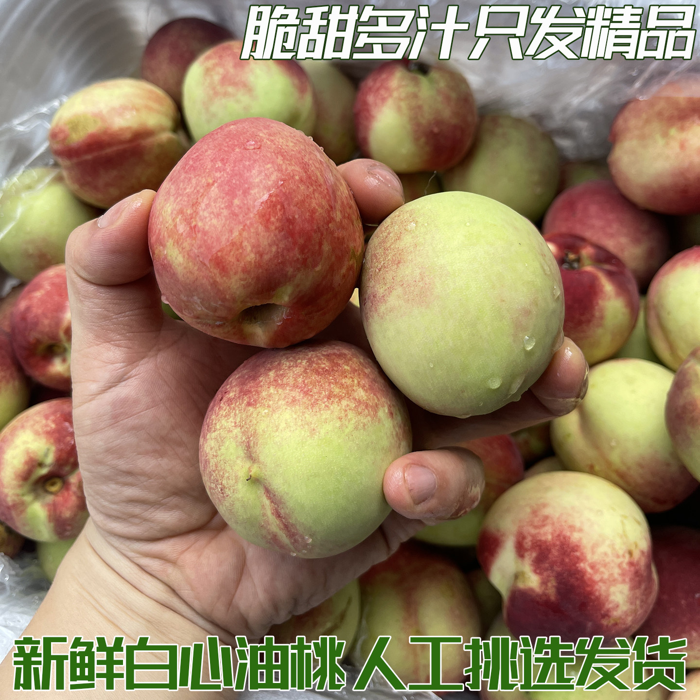 正宗白心大油桃现摘现发当季应季水果脆甜多汁皮薄核小农家自种发
