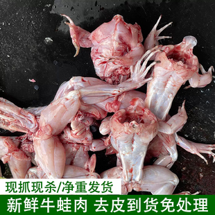 现杀牛蛙超大特大鲜活田鸡蛤蟆现杀牛蛙田鸡蛙肉腿商用火锅食材