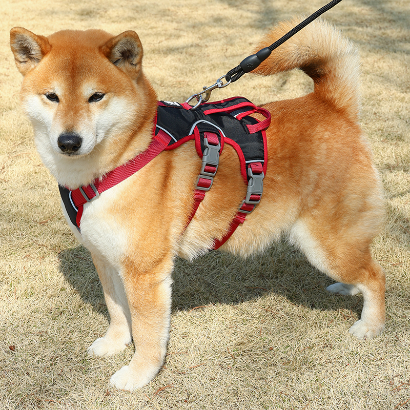 夏季狗狗胸抱婴袋防挣脱可调节遛狗绳子柴犬柯基中型犬狗狗牵引绳