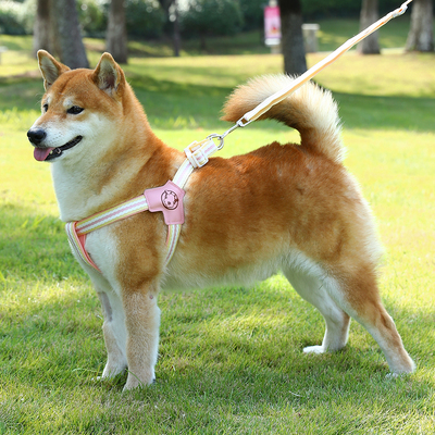 狗狗用牵引绳边牧专用牵引绳夏季透气外出遛狗绳子可调节柴犬柯基