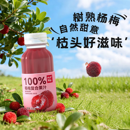 版纳雨林杨梅汁饮料精选云南杨梅酸酸甜甜开胃248ml*12瓶
