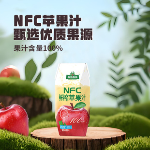 版纳雨林苹果汁100%纯果汁0添加剂200ml*10瓶果汁饮料礼品礼盒
