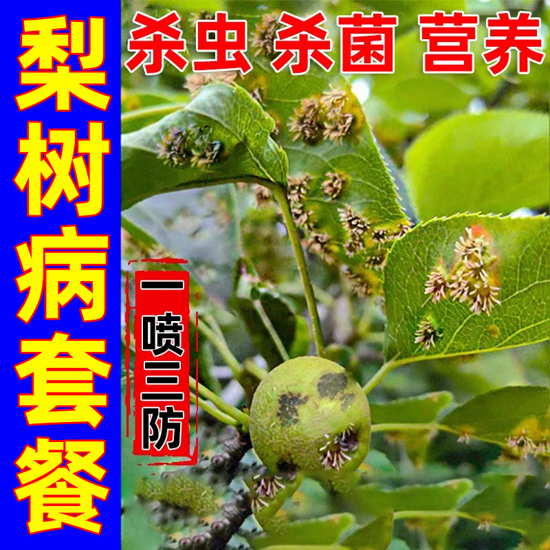 梨树锈病正品药梨树杀菌剂黄点黄叶羊胡子病炭疽病正品果树叶面肥