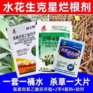 正品 水花生克星烂根除草剂2甲4氯钠农用除草剂死草烂根不复发套装