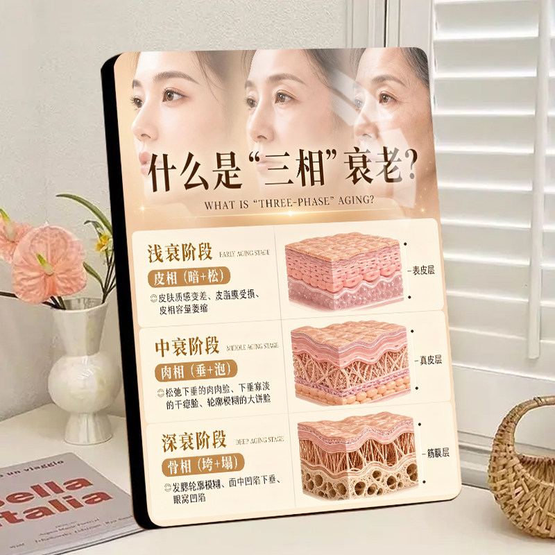 三相衰老知识科普相框美容院抗老护肤知识展示装饰画装饰相框摆件
