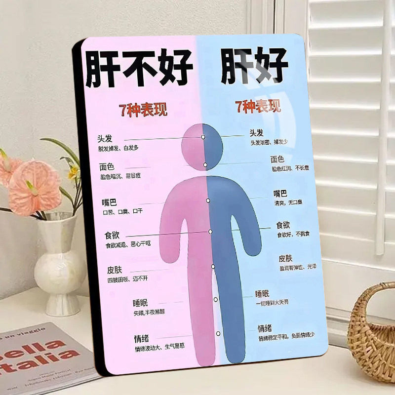 肝脏健康科普相框客厅书房装饰画房间身体器官关联提醒桌面摆台
