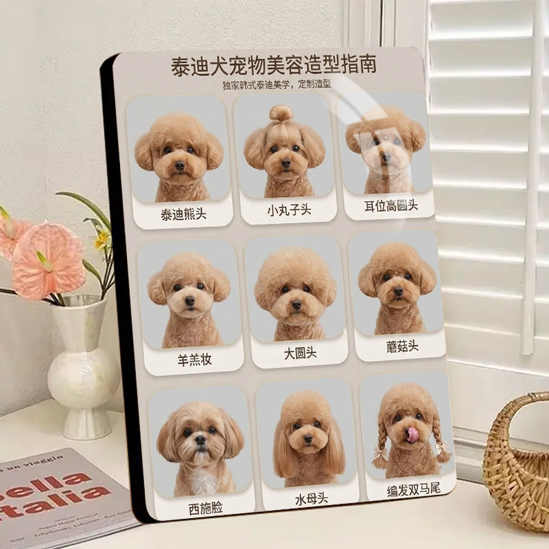 泰迪犬宠物美容造型指南展示画高清水晶相框摆件宠物店高端摆台