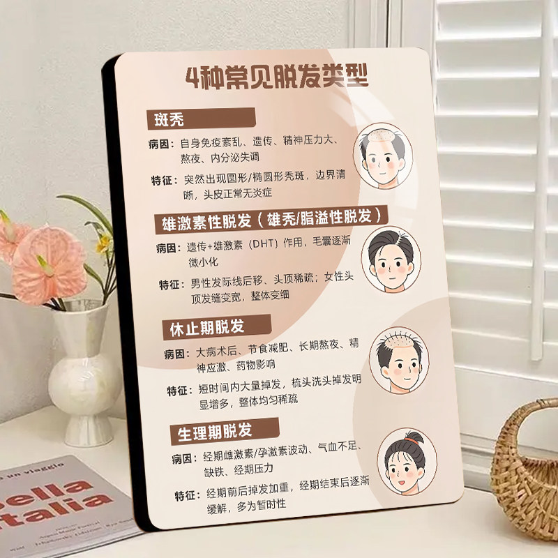 脱发四种类型展示板生发养发摆台头皮检测图片防脱发新款摆件相框