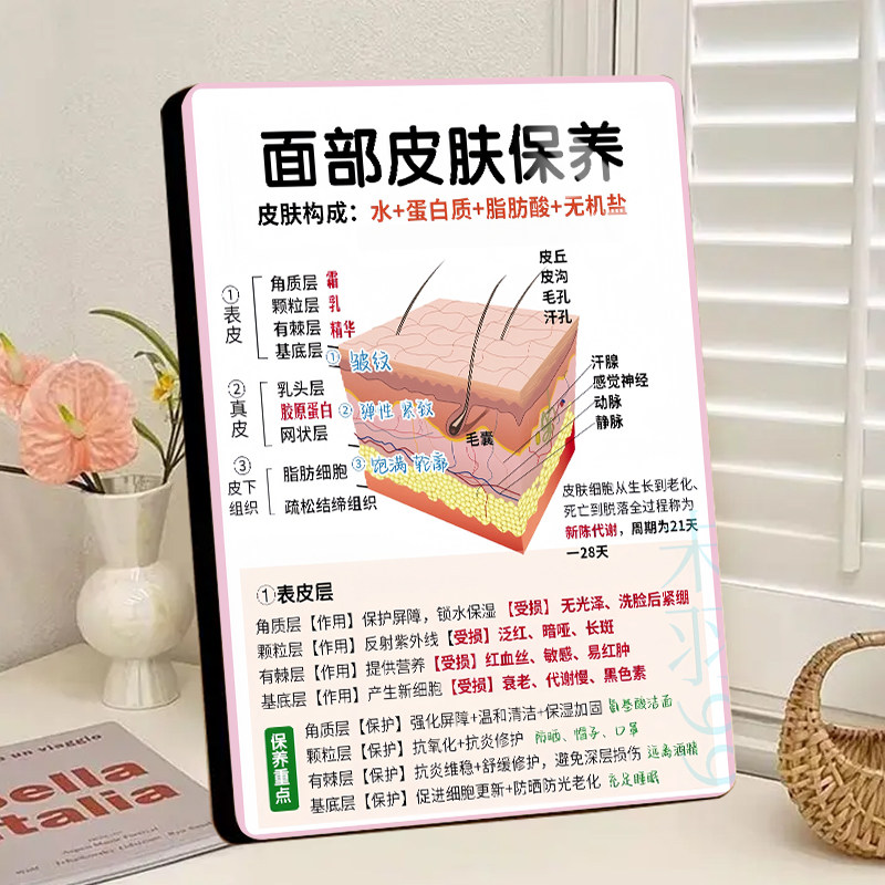 美容店补水管理知识展示相框摆件高清防水轻奢金边装饰相框摆台