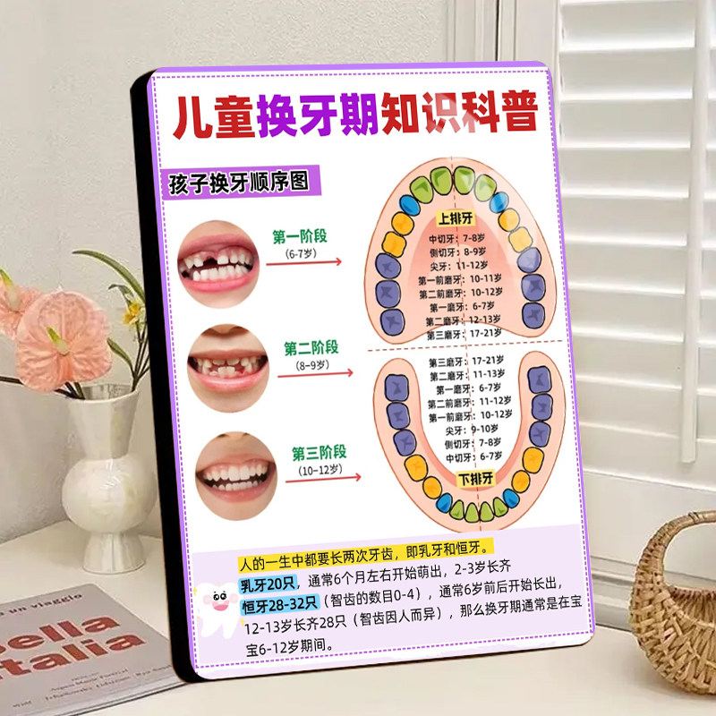 儿童换牙时间顺序科普相框家用育儿早教诊所装饰画相框桌面摆件画