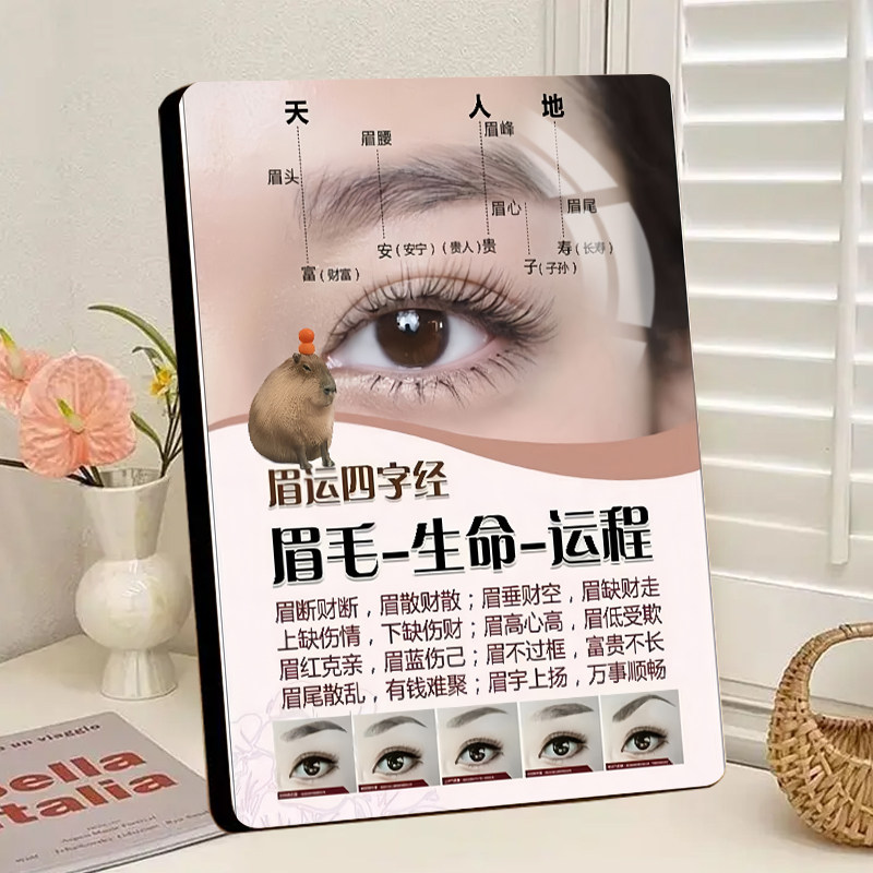 半永久纹眉眉运风水学眉毛运程美容院纹绣店相框高级摆件轻奢摆台