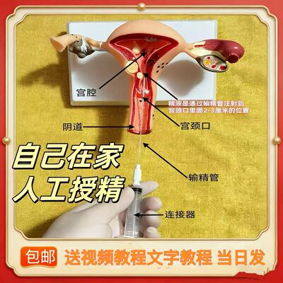 人工受精助孕器生殖工具家用备孕人用授精辅助用品医用助推输精管