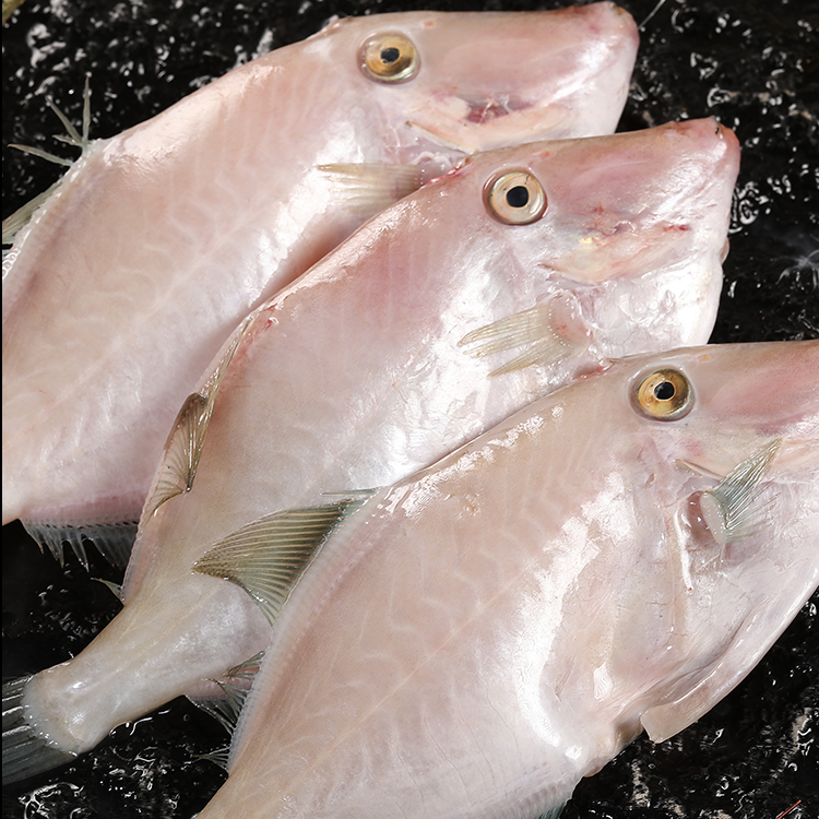 耗儿鱼大号扒皮鱼新鲜冷冻马面鱼6-8两每条三去剥皮鱼海鲜,水产肉类/新鲜蔬果/熟食,比目鱼/多宝鱼/鸦片鱼/龙利鱼,淘宝优惠券,粉丝福利购,淘宝优惠卷