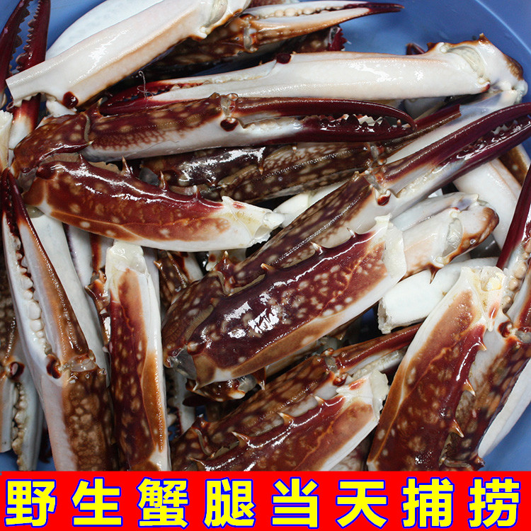母梭子蟹钳螃蟹腿新鲜大白蟹脚梭子蟹海蟹海鲜水产飞蟹商用