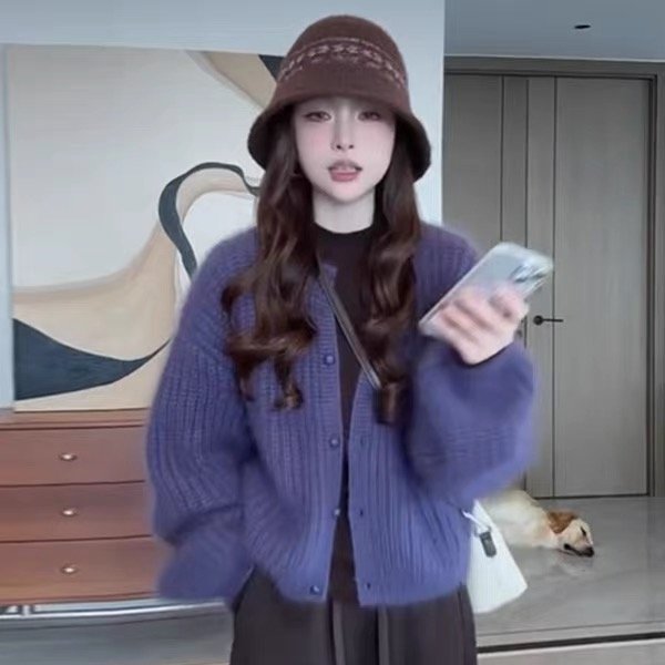 2025春秋新款复古时髦慵懒外穿宽松百搭圆领软糯针织毛开衫