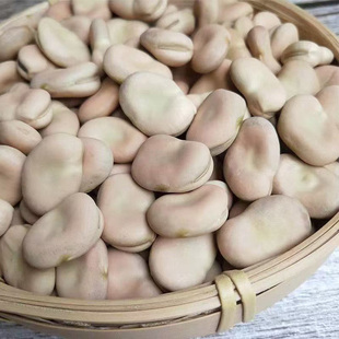 白皮蚕豆种子特大高产蔬菜种籽春秋四季早熟耐寒罗汉豆胡豆种籽