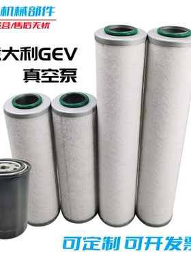 意大利GEV100/200/300真空泵排气滤芯进气过滤器油雾分离器机油滤