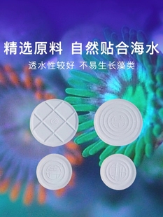 珊瑚基座六边形 圆形 方形 T形草皮纽扣基座珊瑚熊上石盒断枝基座