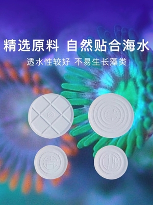 珊瑚基座六边形 圆形 方形 T形草皮纽扣基座珊瑚熊上石盒断枝基座