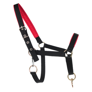 马笼嘴马嘴笼马笼头套拉马马笼牵马龙头马头套马具大马小马矮马